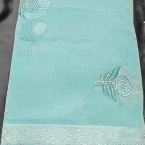 Blue Saree Jimmy Choo With Border